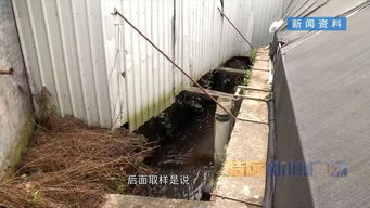 河長制推動河長治 集美區清退污染溪流養鰻場，啟動“三溪”全面治理